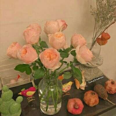 大发彩票官方官方平台app